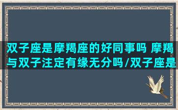 双子座是摩羯座的好同事吗 摩羯与双子注定有缘无分吗/双子座是摩羯座的好同事吗 摩羯与双子注定有缘无分吗-我的网站